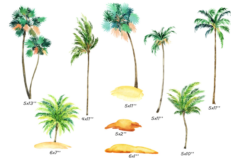 palm-tree-clipart-tropical-beach-scenery-png