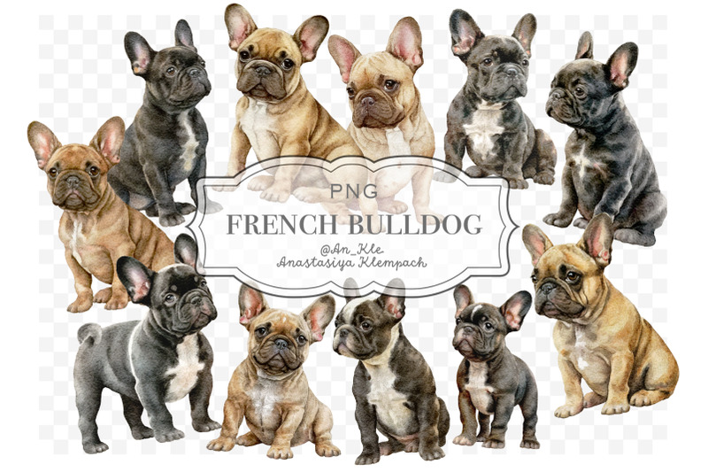 french-bulldog-clipart-png