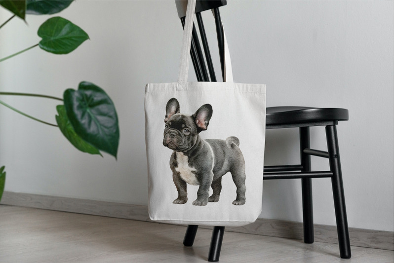 french-bulldog-clipart-png