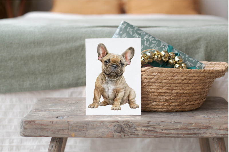 french-bulldog-clipart-png