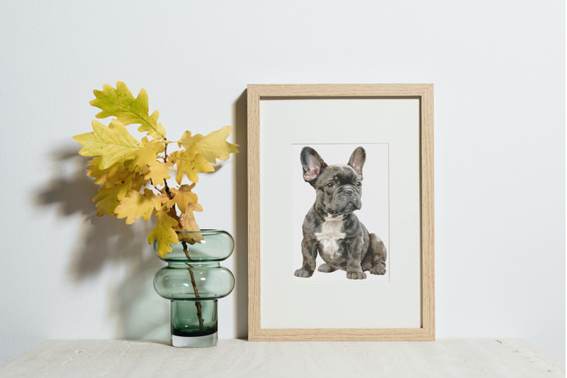 french-bulldog-clipart-png