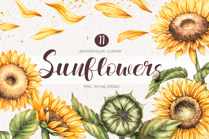 watercolor-sunflowers-watercolor-clipart-png