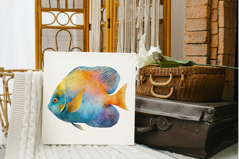 fish-clipart-png