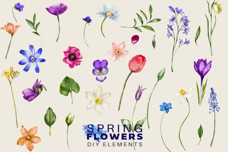 watercolor-spring-flowers-huge-collection