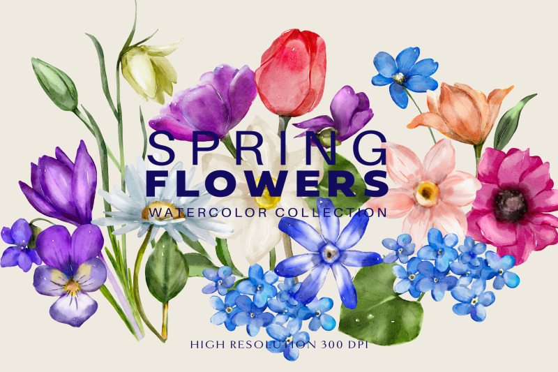watercolor-spring-flowers-huge-collection