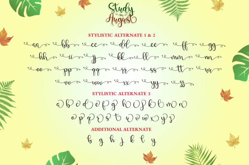 study-in-august-bouncy-calligraphy-script