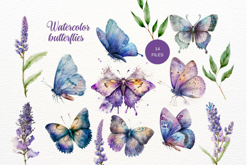 butterfly-watercolor-floral-clipart