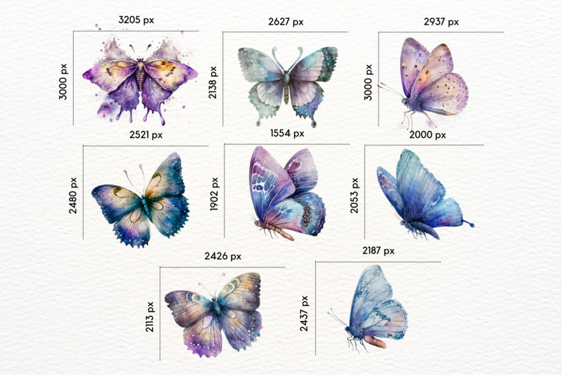 butterfly-watercolor-floral-clipart