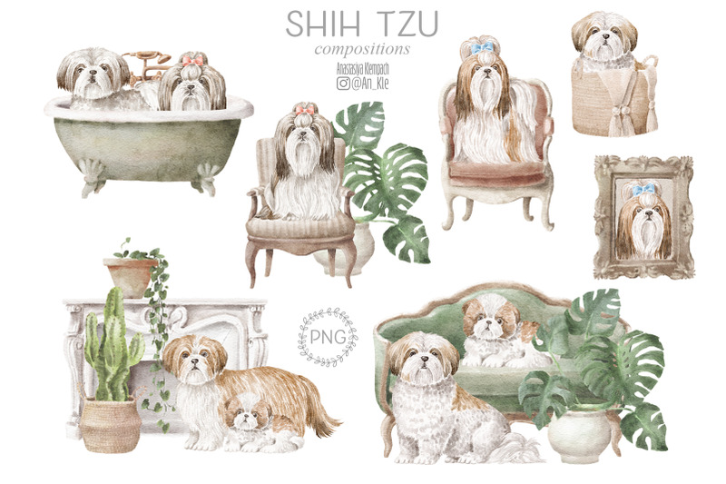 shih-tzu-dogs-clipart