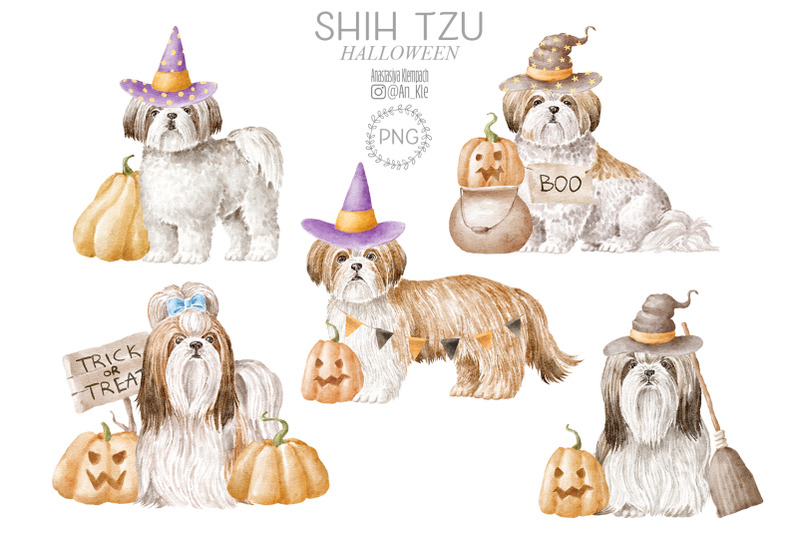 shih-tzu-dogs-clipart