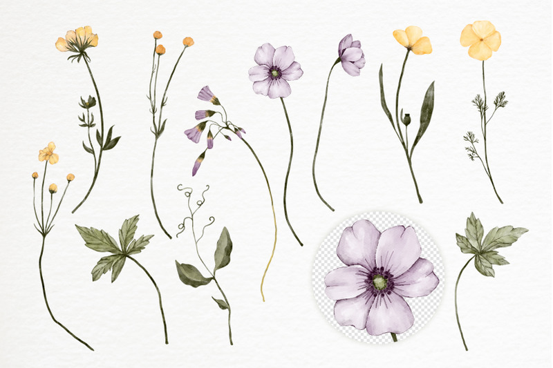 spring-wildflowers-watercolor-clipart-floral-seamless-pattern-summer