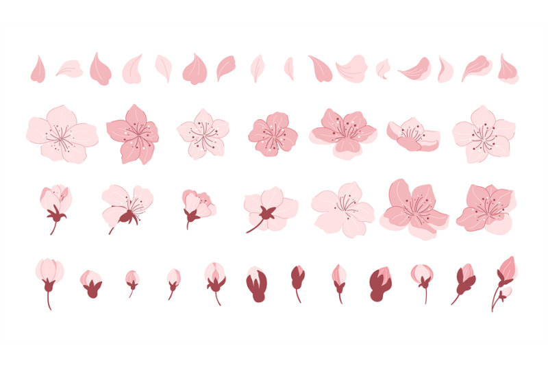 sakura-cherry-blossom-japanese-cherry-petals-falling-spring-flowers