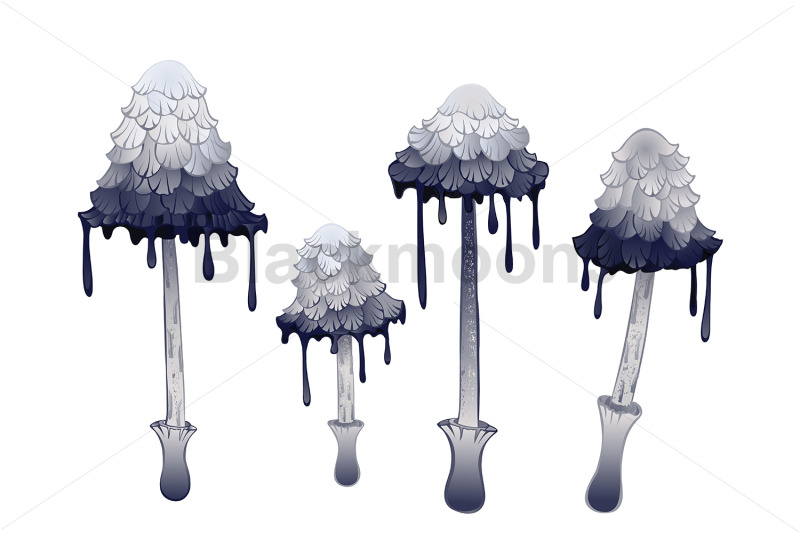 set-of-gray-mushrooms