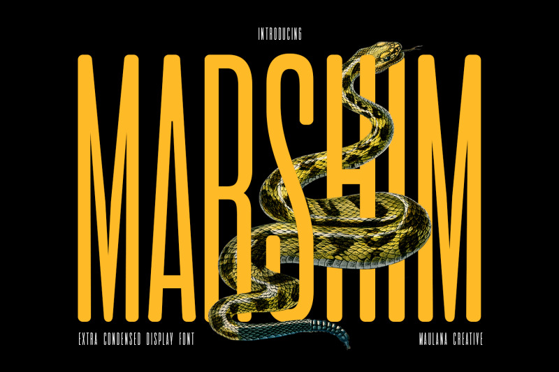 marshim-sans-serif-display-font