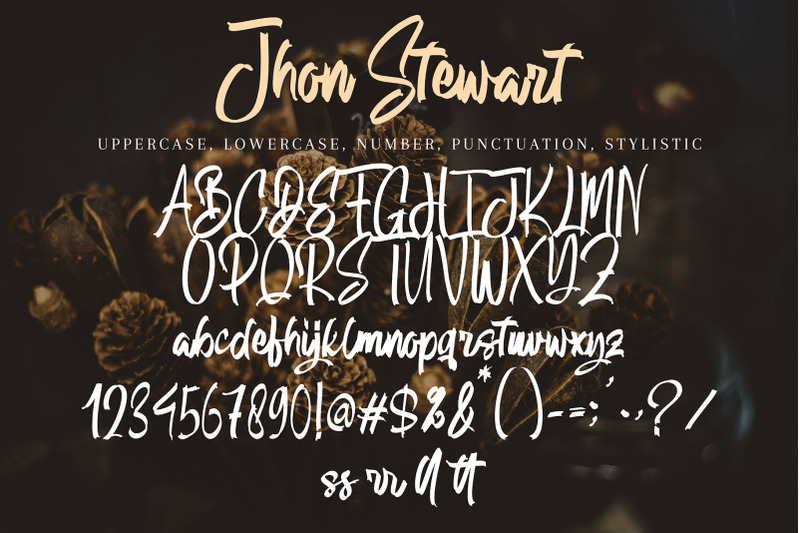 jhon-stewart