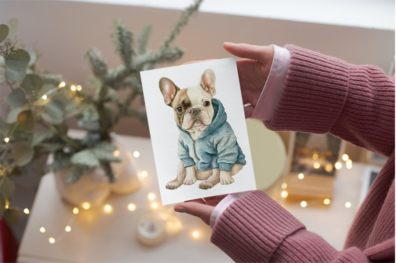 french-bulldog-in-clothes-clipart-png