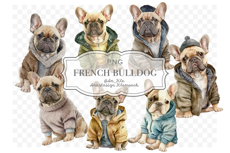 french-bulldog-in-clothes-clipart-png