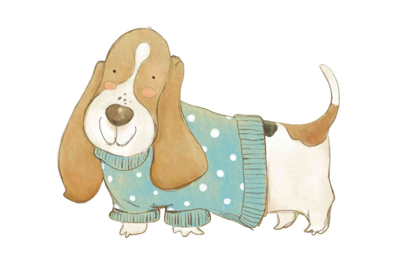 basset-hound-wearing-a-sweater