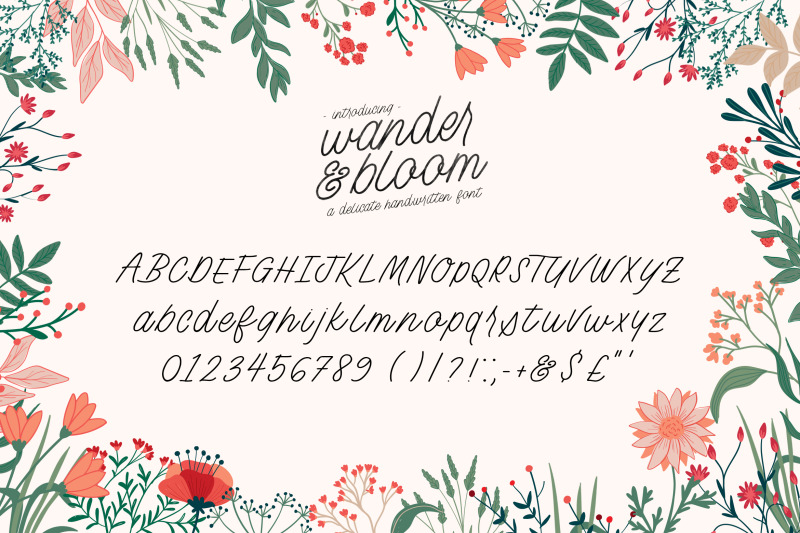wander-and-bloom-font-script-fonts-handwriting-fonts-cursive-fonts