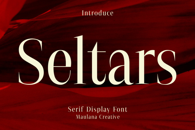 seltars-display-serif-font