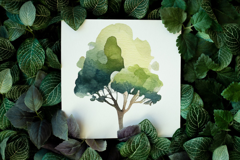 watercolor-trees-clipart-plant-clipart
