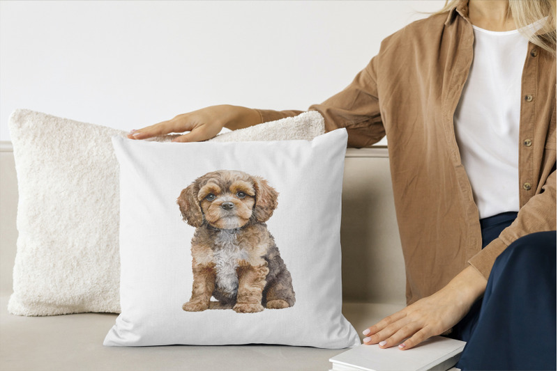 cavapoo-dogs-clipart-png