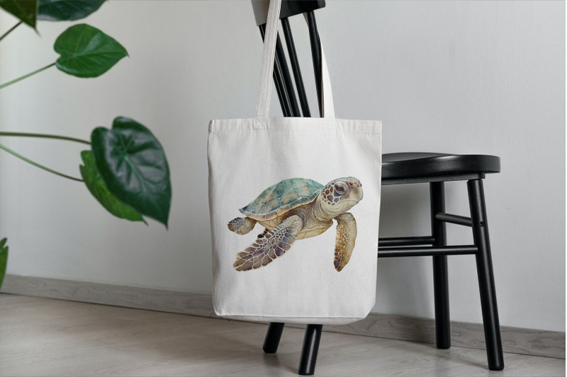 sea-turtle-clipart-png