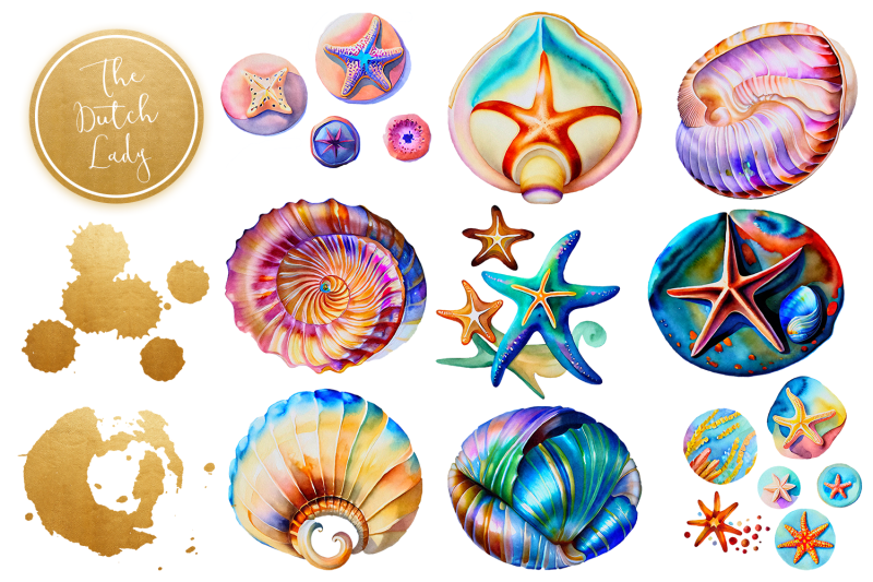 fantasy-seashell-amp-starfish-clipart