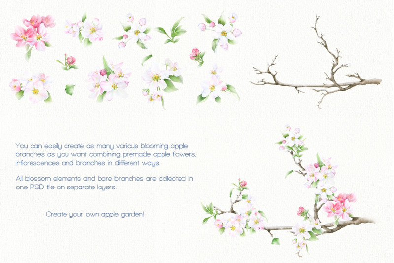 blooming-spring-watercolor-collection