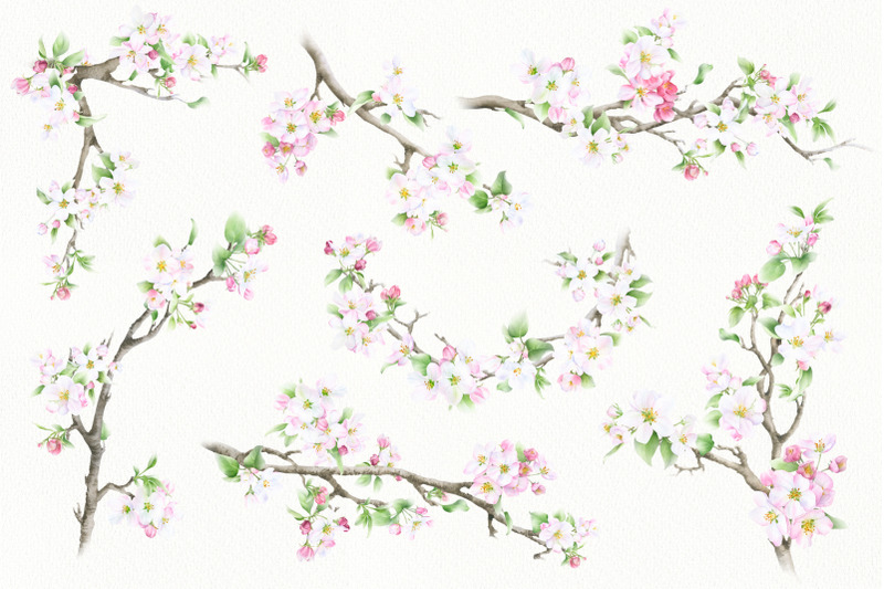 blooming-spring-watercolor-collection