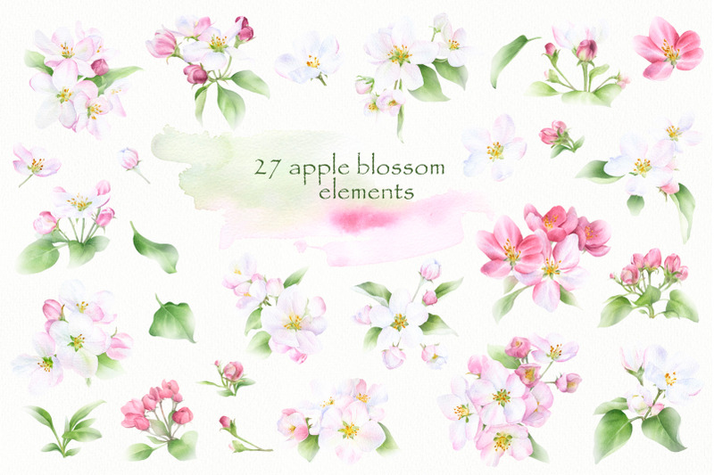 blooming-spring-watercolor-collection