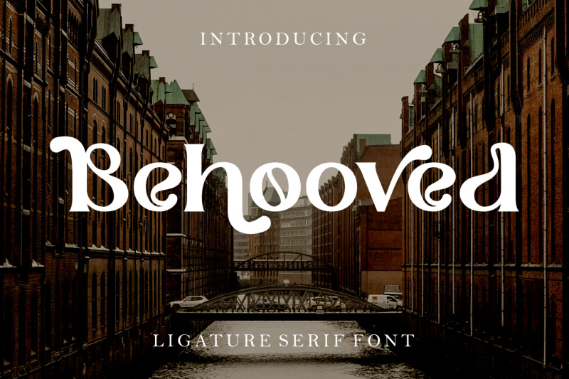 behooved-ligature-serif-font