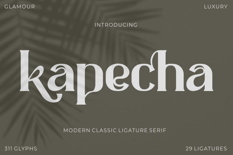 kapecha-modern-classic-ligature-serif