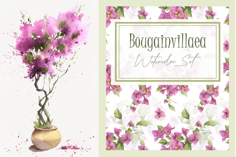 bougainvillaea-watercolor-set