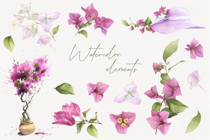 bougainvillaea-watercolor-set