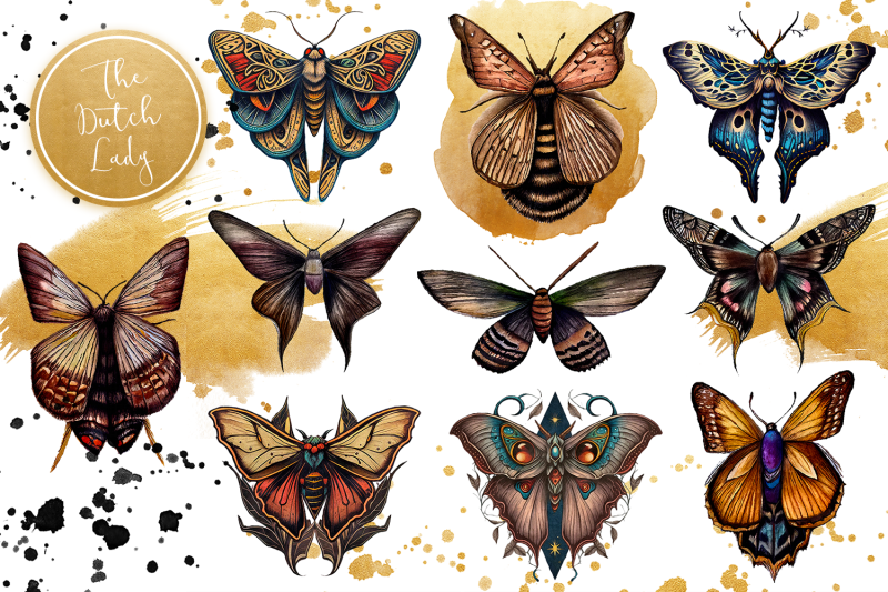 mystical-moth-drawings-clipart-set