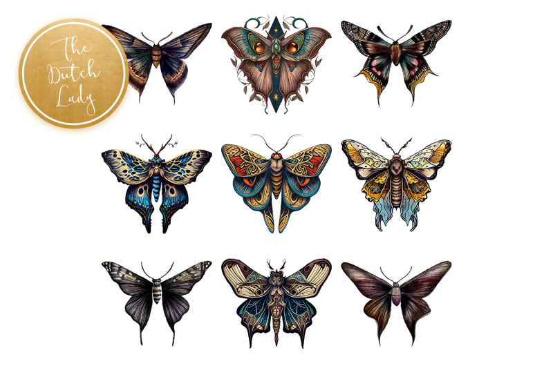 mystical-moth-drawings-clipart-set