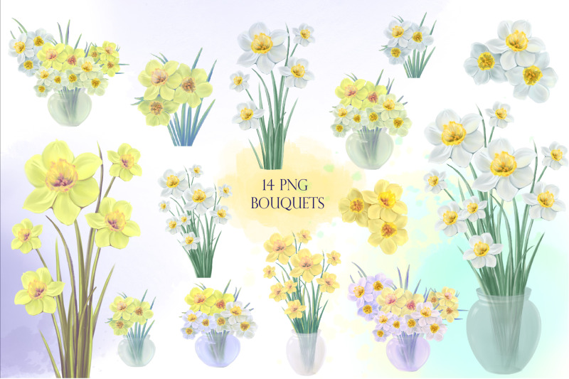 daffodils-flowers-collection