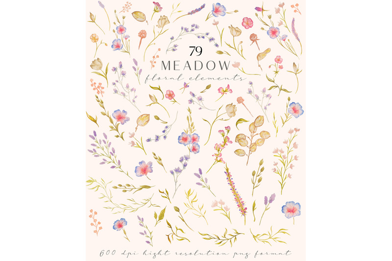 m-e-a-d-o-w-watercolor-flowers-clipart