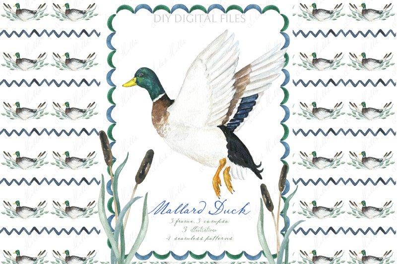 watercolor-duck-mallard-clipart