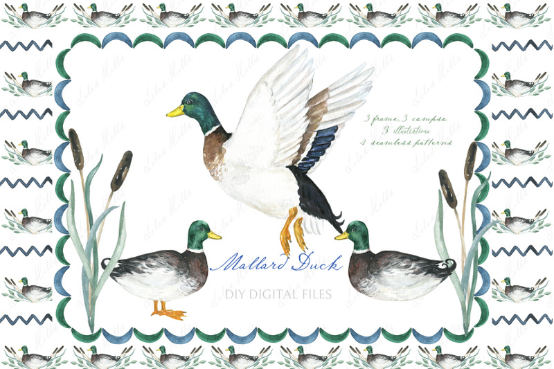 watercolor-duck-mallard-clipart