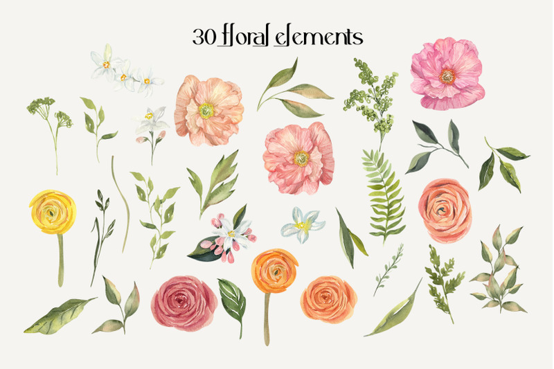 hesperides-garden-mediterannean-citruses-amp-florals