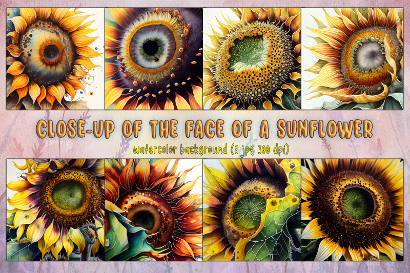 close-up-of-the-face-of-a-sunflower