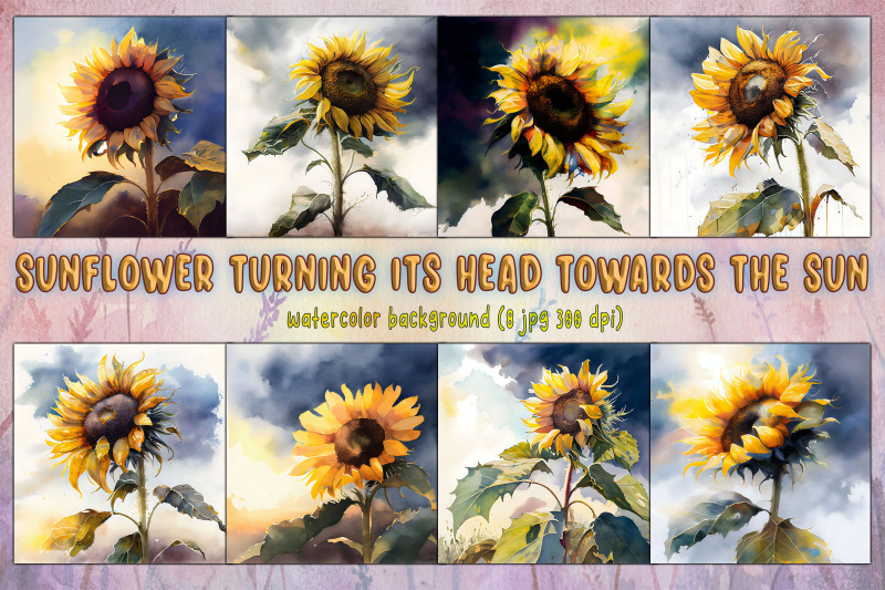 sunflower-turning-towards-the-sun