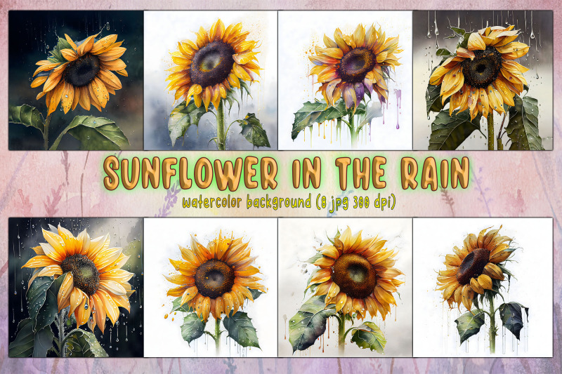 sunflower-in-the-rain