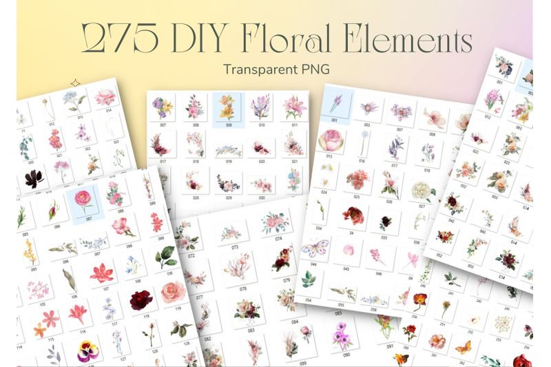 big-floral-collection-365-png