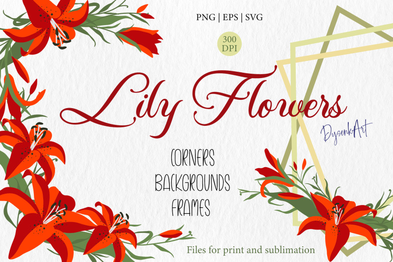 lily-flowers-floral-clipart-border