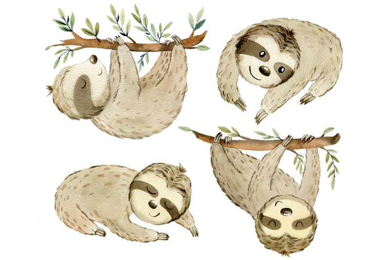 watercolor-sloths-clipart