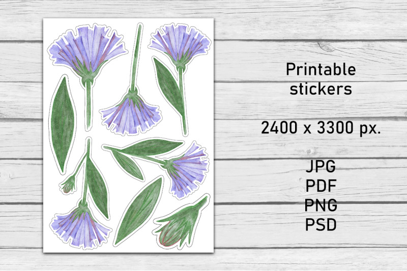 flowers-sticker-pack