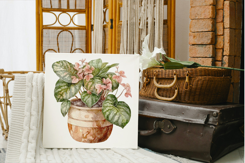 potted-plants-clipart